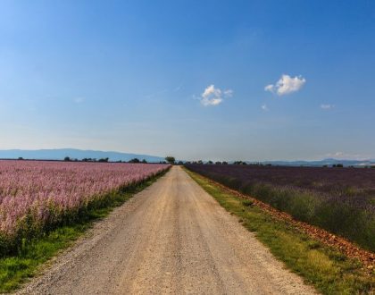 Où partir en juillet en France