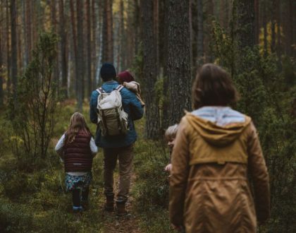 balades_en_forêt_en_famille