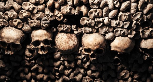 top_destinations_feter_halloween_catacombes