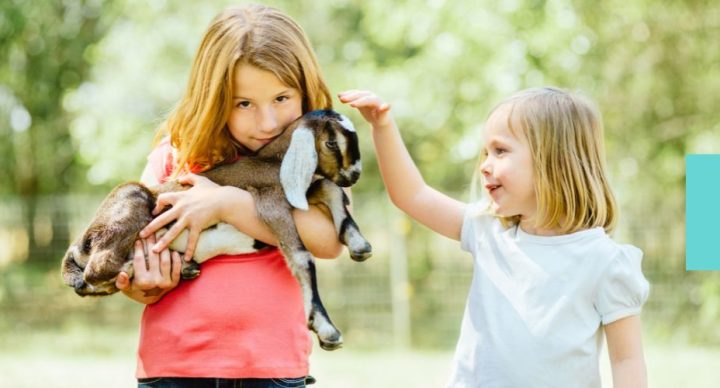 France-passion-étapes-avec-enfants