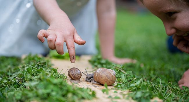 France-passion-enfants-escargots