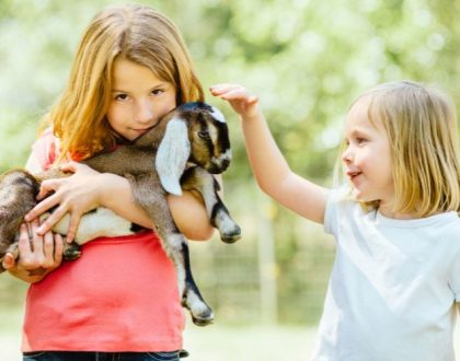 France-passion-séjours-enfants