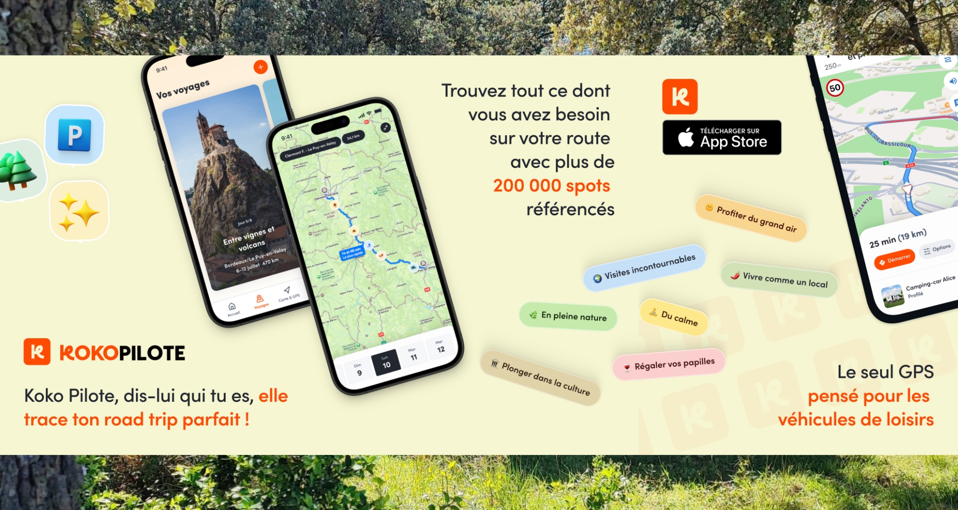 Koko_pilote_wikicampers