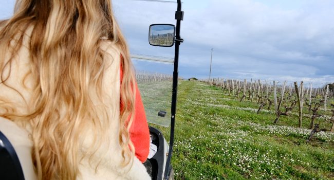 voyager-en-camping-car-octobre-bourgogne