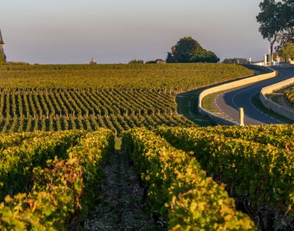 mai-en-camping-car-route-vins-alsace