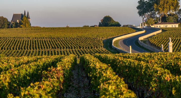 mai-en-camping-car-route-vins-alsace