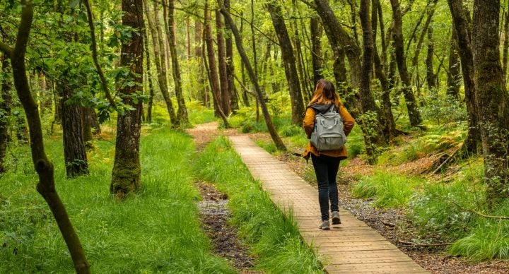 Road trip de 3 jours en Bretagne intérieure