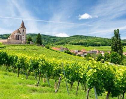 grand-est-alsace-camping-car-wikicampers