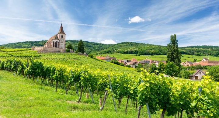 grand-est-alsace-camping-car-wikicampers