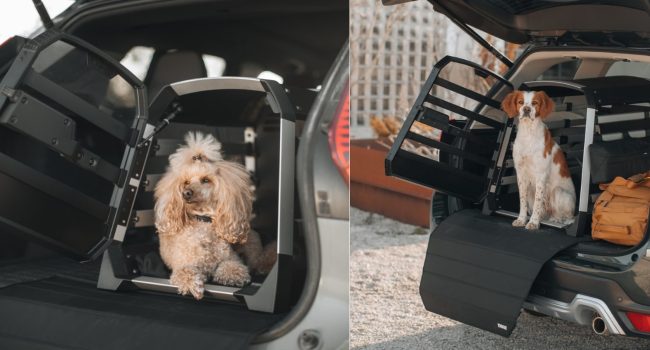 caisse-transport-chien-camping-car