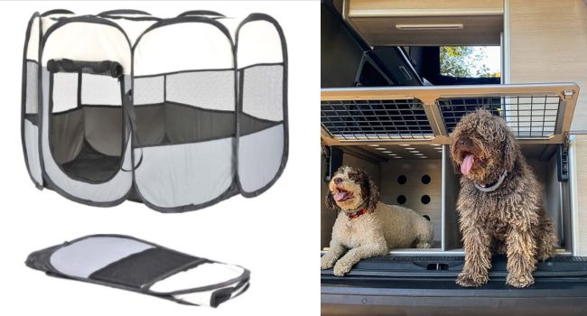 solutions-transport-chien-camping-car