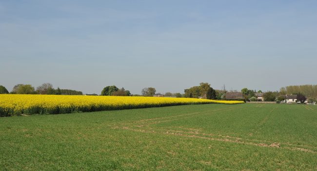 essonne-beauce