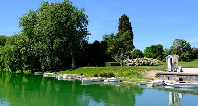 foret-fontainebleau