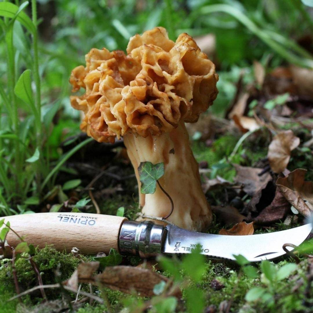 Couteau N°8 Champignons - OPINEL