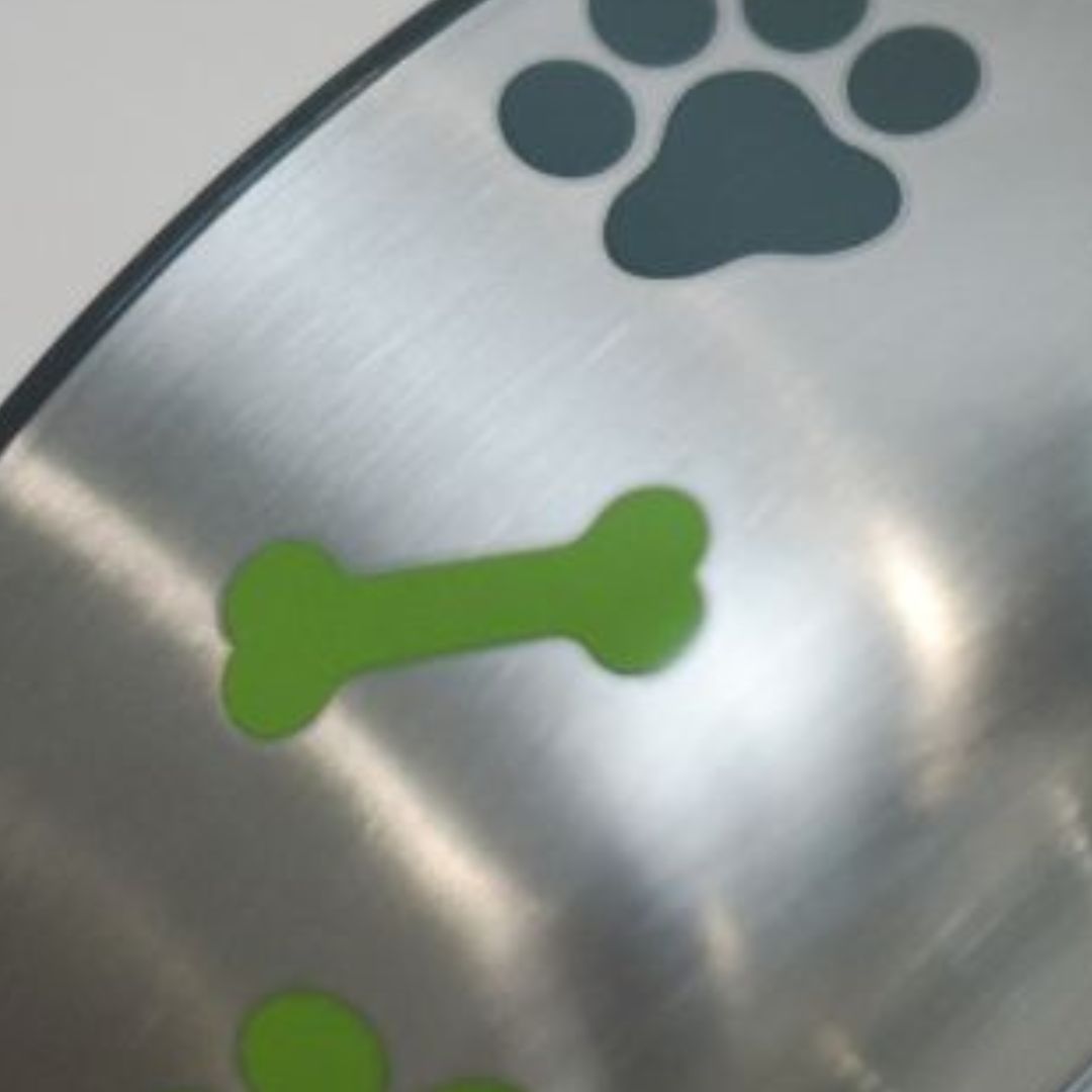 variant-gourde-maitre-chien-recyclee