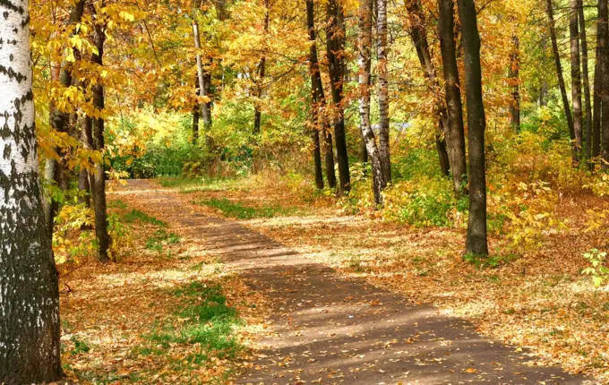 Idées de road trips d’automne à faire en Europe