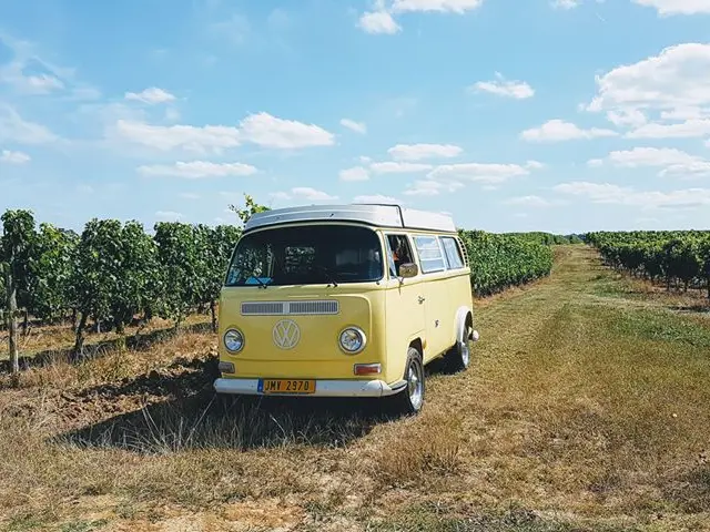 Combi Westfalia Westy T2 – Segonzac