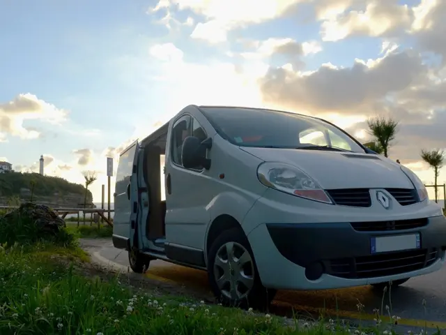Van Traffic Trafic – Anglet