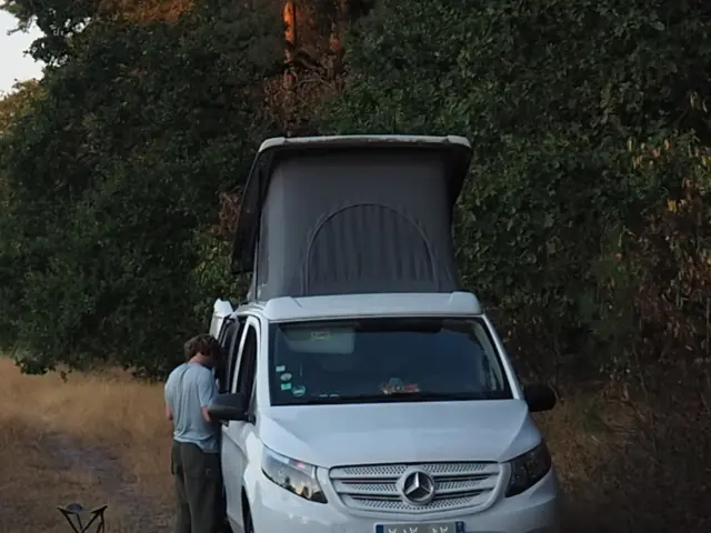 Van Sca Vito 114Cdi – Saint-Étienne