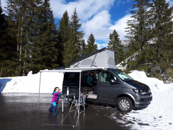 Volkswagen VOLKSWAGEN California image