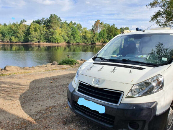 Peugeot ADRIA EXPERT image