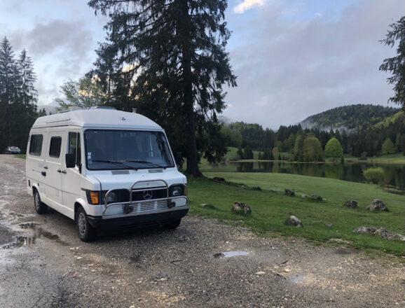 Mercedes WESTFALIA 207d image