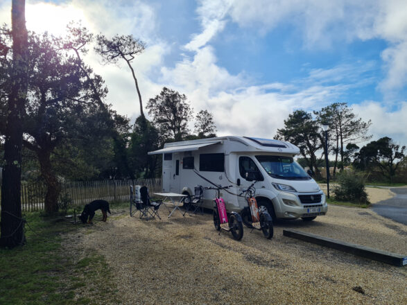 FIAT CI (CARAVANS INTERNATIONAL) MAGIS image