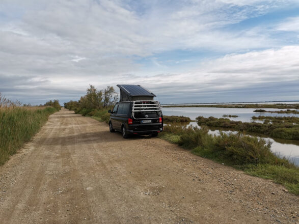  VOLKSWAGEN CALIFORNIA image