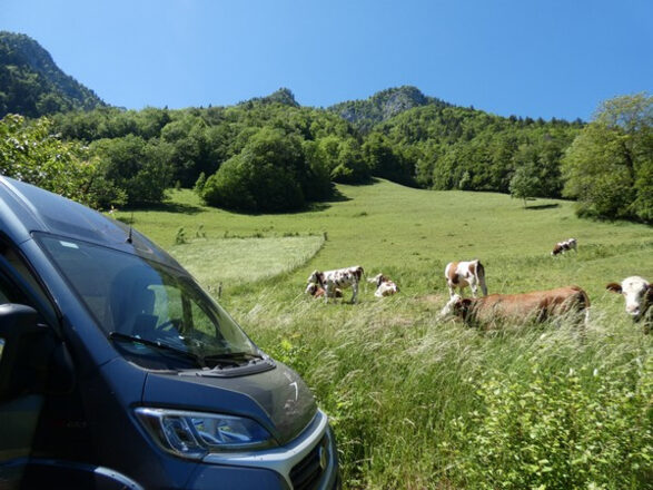 Fiat MC LOUIS menfys image