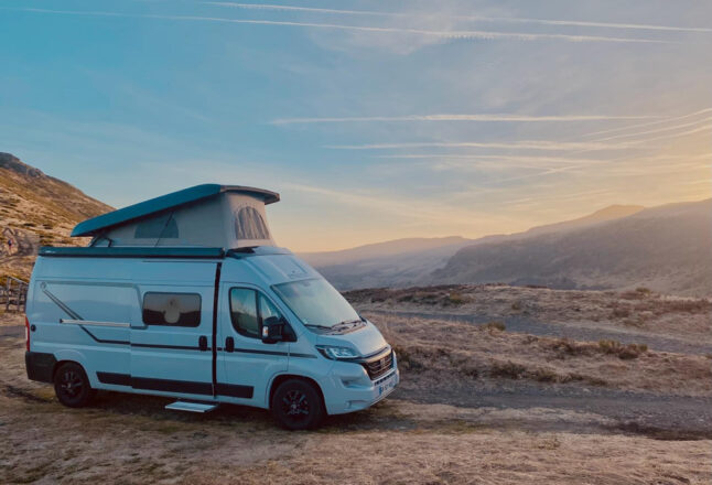  ETRUSCO PROFILES image