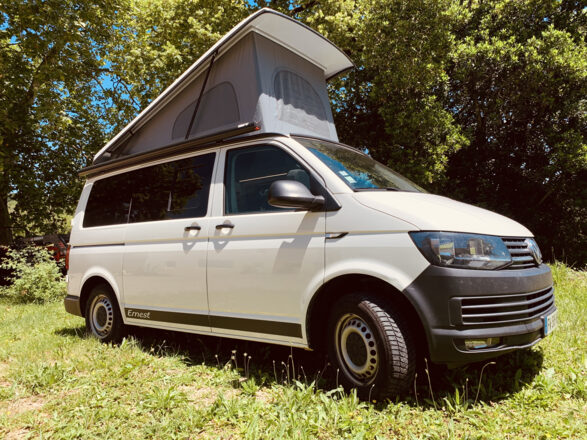 Volkswagen VOLKSWAGEN T6 Frenchy van image