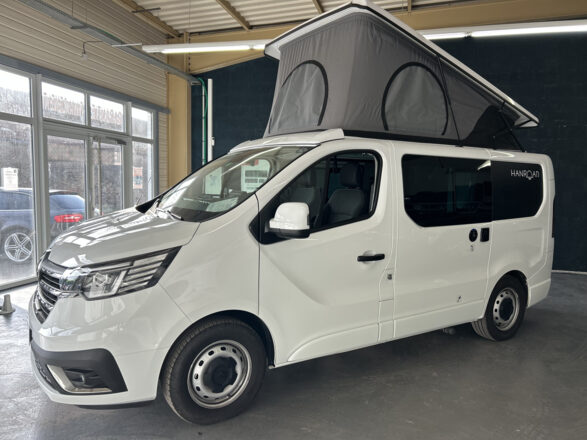 Renault HANROAD Trek 4 image