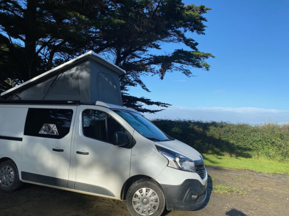 Renault RENAULT Traffic  image