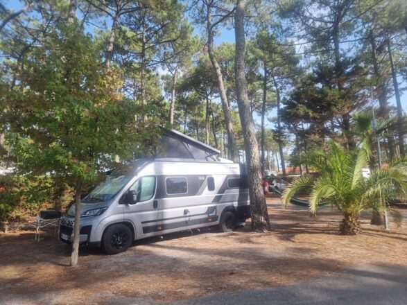 Fiat Adria Ducato image