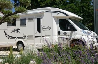 Fiat MC LOUIS Yearling 74 G image