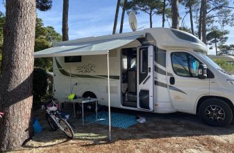 Fiat MC LOUIS Yearling image