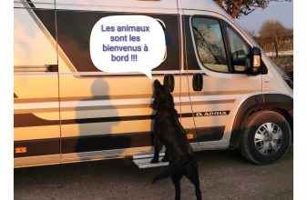 Fiat ADRIA Twin Family Supreme SPB 640 de 2021 image