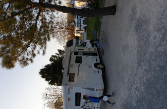 Ford BENIMAR Sport 340 up image