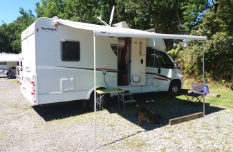 Fiat SUNLIGHT T63 image