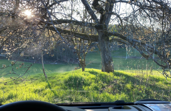 FIAT SUNLIGHT CAPUCINES image