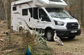 FORD BENIMAR TESSORO