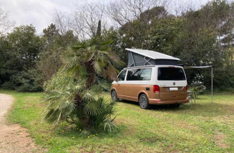Volkswagen CALIFORNIA coast image
