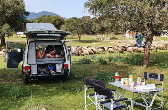 Volkswagen CALIFORNIA T4 Westfalia 2.4 D image