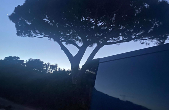 Opel VIVARO 2007 image