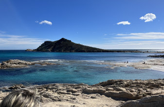 Opel VIVARO 2007 image