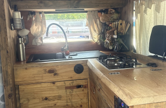 FORD BENIMAR MILEO image