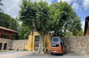 Ford WESTFALIA Nugget plus image