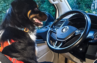 VOLKSWAGEN VOLKSWAGEN CALIFORNIA image