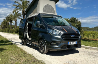 Ford AUTRE PANAMA P12S image