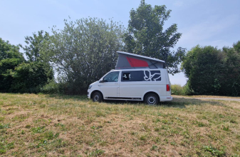 Volkswagen AUTRE Transporter T6 image